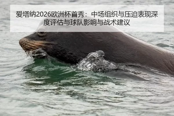 爱塔纳2026欧洲杯首秀：中场组织与压迫表现深度评估与球队影响与战术建议