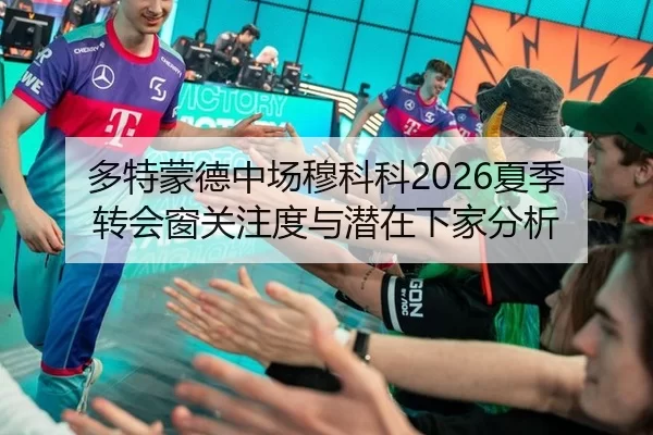 多特蒙德中场穆科科2026夏季转会窗关注度与潜在下家分析